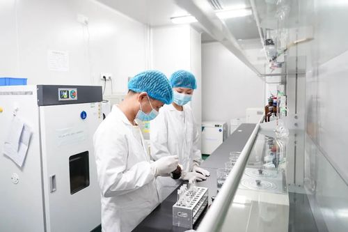 專注醫療科技前沿，廈門海滄這家企業如何深耕微創耗材與網絡信息技術研發
